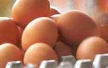 Neden Yumurta Yemeliyiz?
